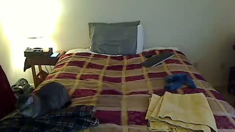 hammerthatthang73 online show from March 2026 11:10:01 PM