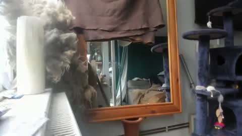 handncocknocum online show from December 2024 08:44:02 AM