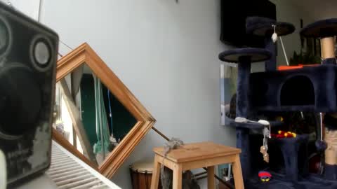 handncocknocum online show from February 2025 10:47:02 AM