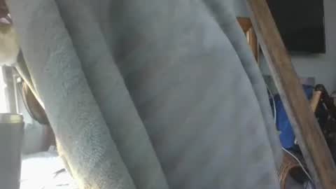 handncocknocum online show from January 2026 09:02:02 AM