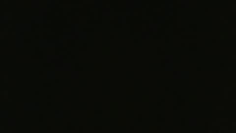 hapbit online show from February 2025 12:58:01 PM