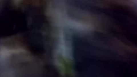 Snapshot of happydick69a chatting on October 2025 01:29:02 PM happydick69a online show from October 2025 01:29:02 PM