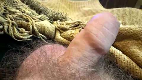 happygerman68 online show from September 2025 11:59:02 PM