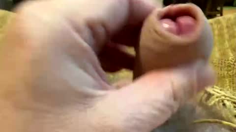 happygerman68 online show from October 2025 09:30:01 PM