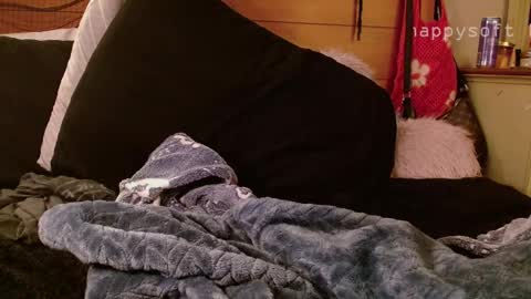 meatwad online show from March 2025 11:33:02 AM