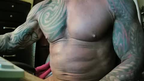 hardbody205a online show from April 2026 04:41:01 AM