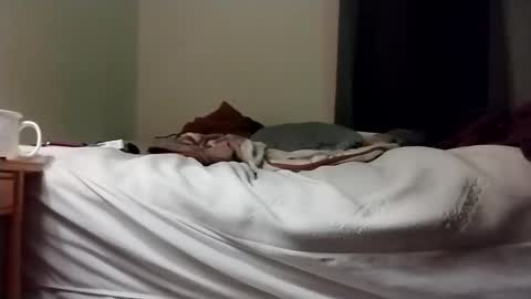 hardcock4u1973 online show from January 2025 01:25:02 PM