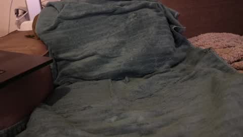 hardgs online show from January 2025 12:26:02 PM