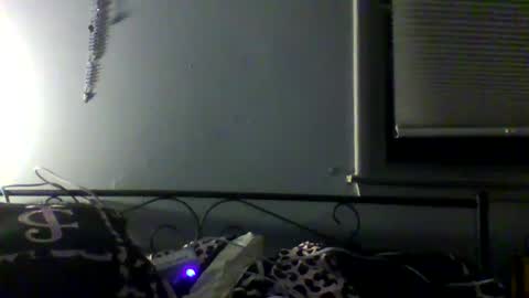 harleywestinc online show from March 2026 05:51:01 AM