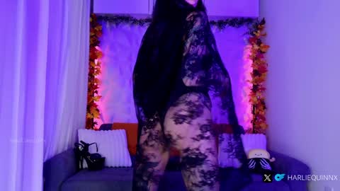 Harliequinnx - Schedule Below Exxxotica DC Dec 6-8th online show from October 2025 01:28:01 AM