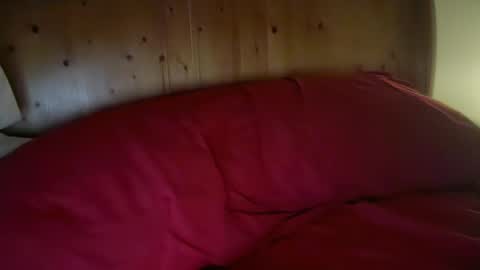 Harry H online show from January 2026 01:38:02 PM