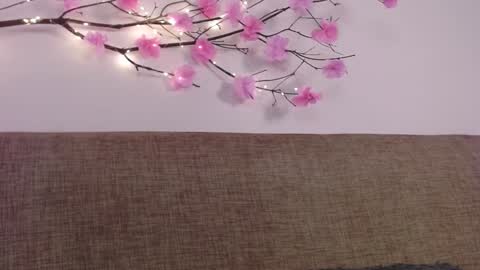 Snapshot of haru_blossom chatting on January 2025 05:06:01 PM online show from January 2025 05:06:01 PM