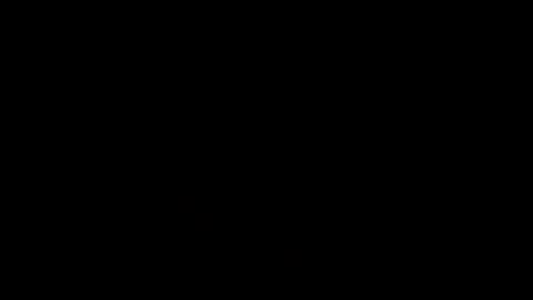 andres online show from January 2025 02:06:01 PM
