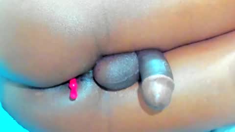 andres online show from February 2025 02:58:02 PM