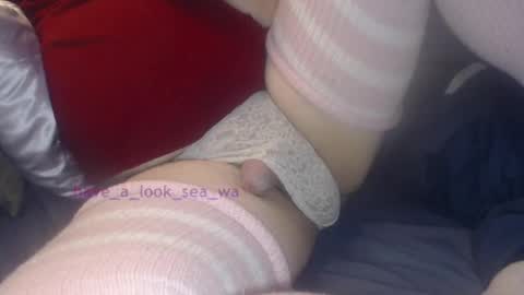 Snapshot of have_a_look_sea_wa chatting on December 2024 04:45:02 AM have_a_look_sea_wa online show from December 2024 04:45:02 AM