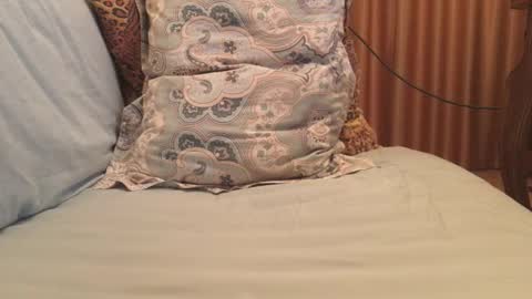 havedream1m online show from October 2025 09:42:02 AM