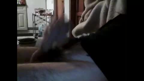 havier282874 online show from April 2026 09:37:02 PM