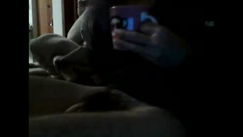 havier282874 online show from April 2026 07:29:02 PM