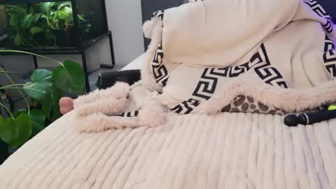 Hazeleo online show from March 2026 09:10:02 PM