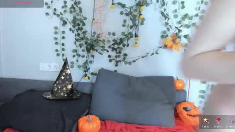 heexhia online show from November 2025 03:06:02 AM