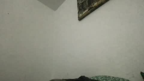 Snapshot of heff919 chatting on June 2026 03:42:01 AM Thisisheff online show from June 2026 03:42:01 AM