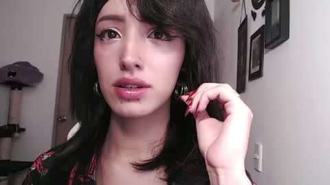 cher online show from January 2025 10:29:02 PM