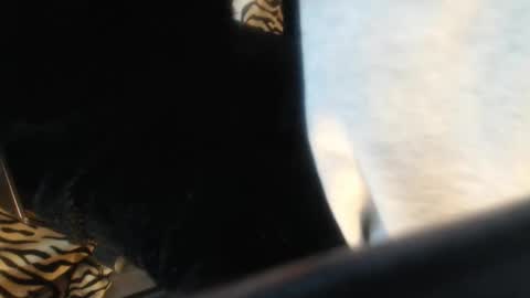 Helvell online show from April 2026 11:05:01 AM