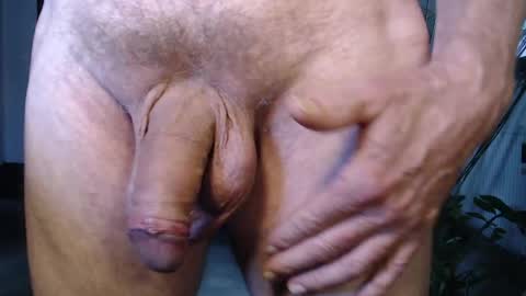 Snapshot of herbie_222 chatting on May 2026 01:17:02 PM Herbie online show from May 2026 01:17:02 PM