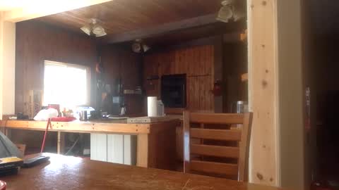 Snapshot of here_with_out_you chatting on February 2026 06:51:02 PM Jason online show from February 2026 06:51:02 PM