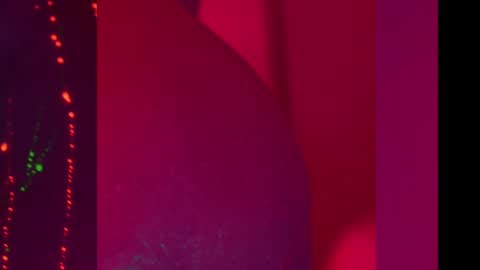 Snapshot of heybanan chatting on December 2024 07:00:02 PM Alina online show from December 2024 07:00:02 PM