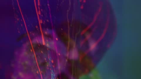 Snapshot of heybanan chatting on September 2025 05:34:02 PM Alina online show from September 2025 05:34:02 PM