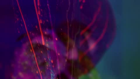 Alina online show from January 2026 06:46:02 PM