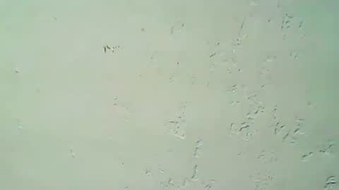 hhhjnf1 online show from September 2025 03:07:02 AM
