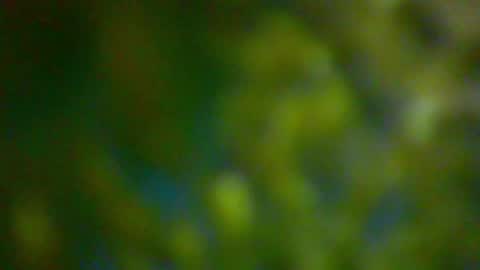 Snapshot of hhhjnf1 chatting on October 2025 06:16:02 PM hhhjnf1 online show from October 2025 06:16:02 PM