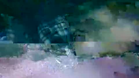 Snapshot of hi_life850 chatting on February 2026 01:13:01 AM MR. Bation online show from February 2026 01:13:01 AM