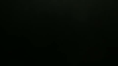 hibus_85 online show from November 2025 01:33:02 PM