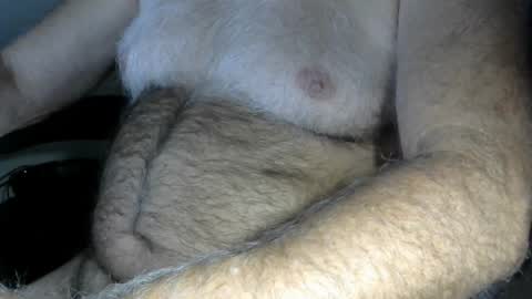 Snapshot of higgins11 chatting on October 2025 12:52:02 AM higgins11 online show from October 2025 12:52:02 AM