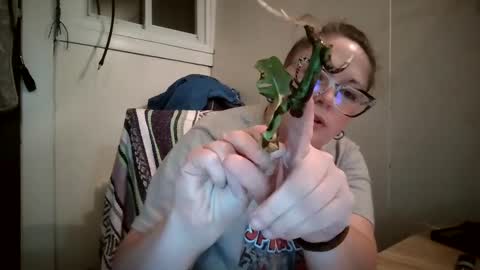 Snapshot of hippihope420 chatting on October 2025 11:25:02 PM Bella online show from October 2025 11:25:02 PM