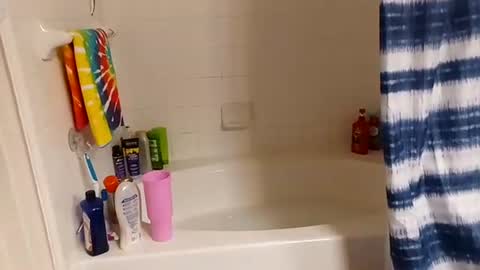 hippydippychick online show from November 2025 07:18:02 AM