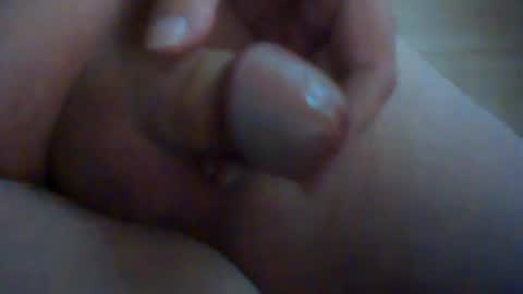hoefli online show from August 2026 08:24:02 AM