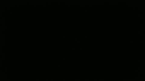 hofnung online show from April 2026 01:09:02 PM