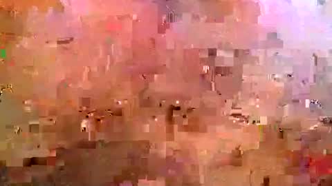 midwestchamp online show from April 2026 10:51:02 AM