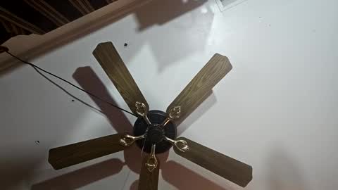 hoglegg99384194 online show from January 2025 06:27:02 AM