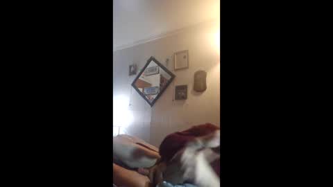 hoglegg99384194 online show from April 2026 04:32:01 AM