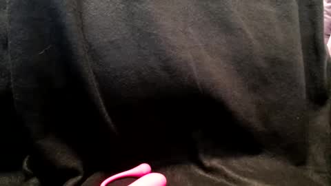 hoiiand48482 online show from January 2025 10:25:02 AM