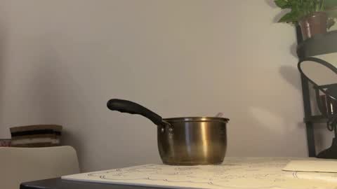 Snapshot of hola_sunflower chatting on October 2025 04:15:02 PM amy online show from October 2025 04:15:02 PM