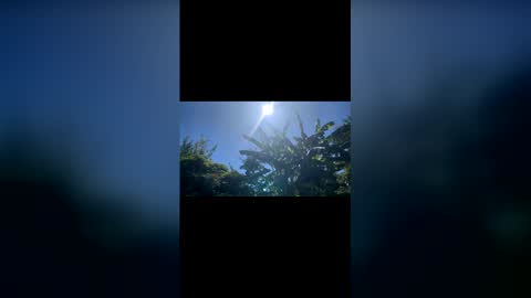 Bonaerense online show from February 2026 06:44:02 PM