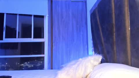 Mara online show from February 2025 03:29:02 AM