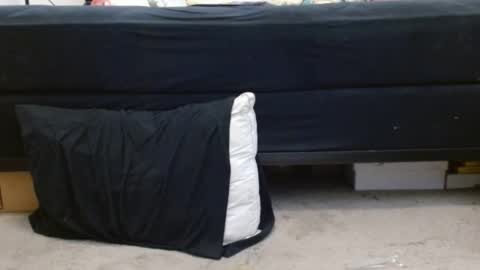 Holly Hawkes online show from January 2025 06:35:02 AM