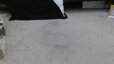 Holly Hawkes online show from January 2025 04:27:01 AM